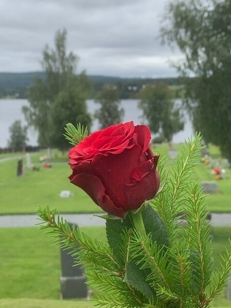 Klicka för att se förhandsgranska